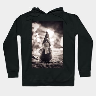 Christmas memories Hoodie